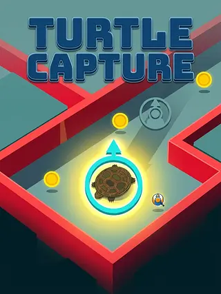 Turtle Capture
